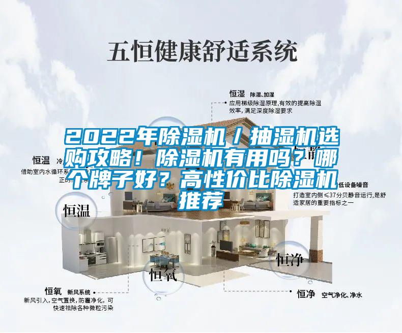 2022年除濕機／抽濕機選購攻略！除濕機有用嗎？哪個牌子好？高性價比除濕機推薦