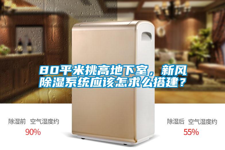 80平米挑高地下室，新風除濕系統(tǒng)應該怎求么搭建？
