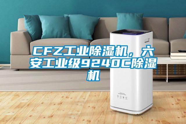 CFZ工業(yè)除濕機，六安工業(yè)級9240C除濕機