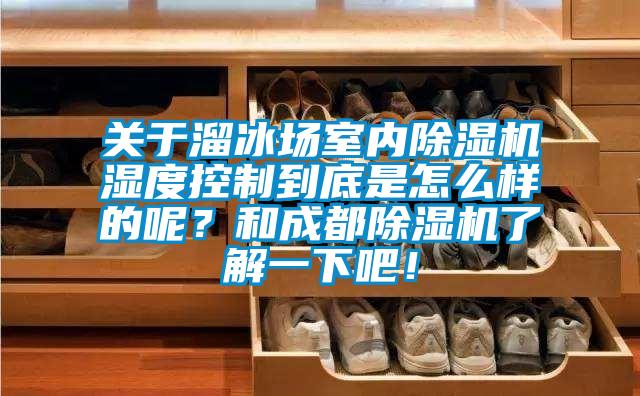 關(guān)于溜冰場室內(nèi)除濕機(jī)濕度控制到底是怎么樣的呢？和成都除濕機(jī)了解一下吧！