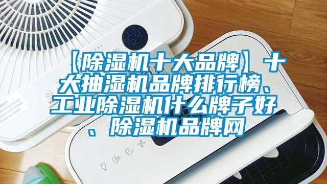 【除濕機十大品牌】十大抽濕機品牌排行榜、工業(yè)除濕機什么牌子好、除濕機品牌網