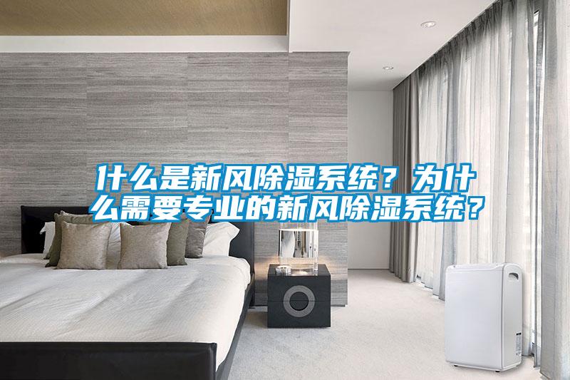 什么是新風(fēng)除濕系統(tǒng)？為什么需要專業(yè)的新風(fēng)除濕系統(tǒng)？