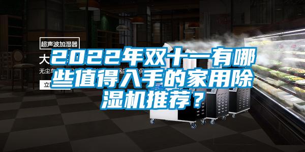 2022年雙十一有哪些值得入手的家用除濕機推薦？