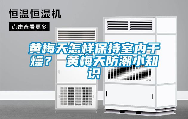 黃梅天怎樣保持室內(nèi)干燥？ 黃梅天防潮小知識