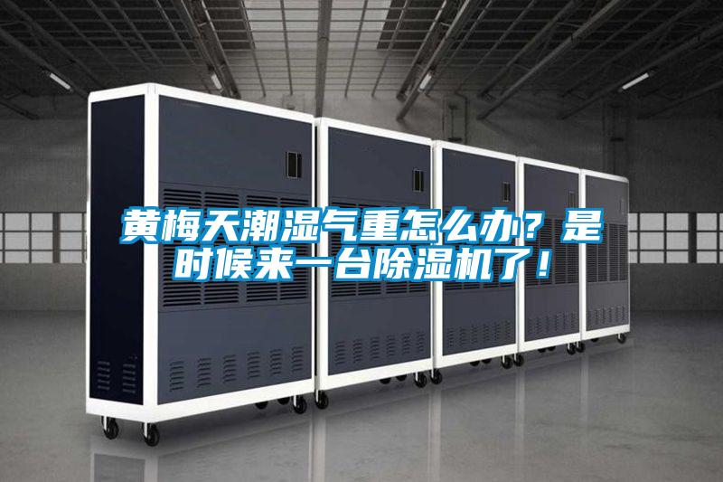 黃梅天潮濕氣重怎么辦？是時(shí)候來(lái)一臺(tái)除濕機(jī)了！