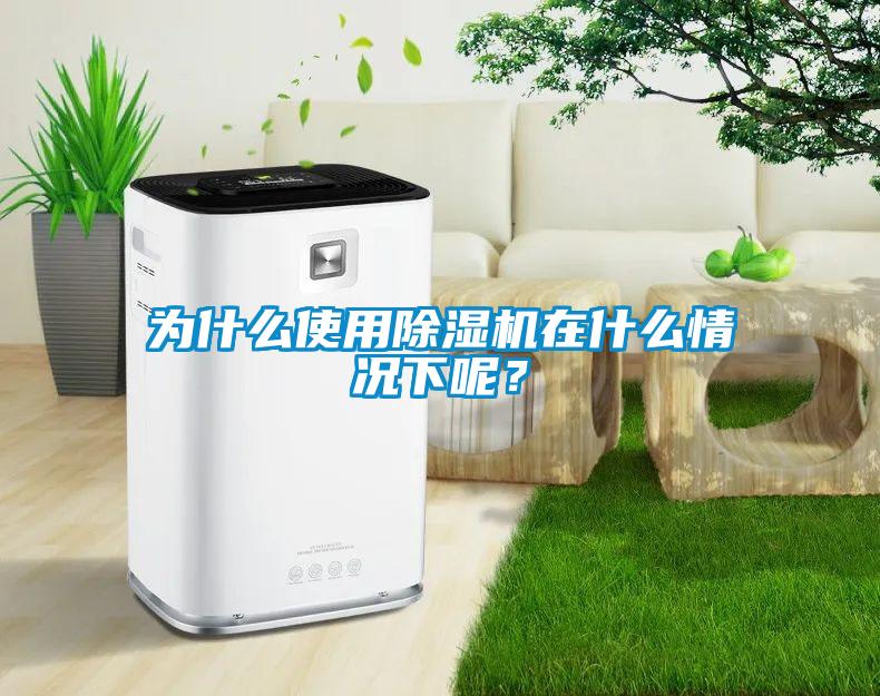為什么使用除濕機(jī)在什么情況下呢？