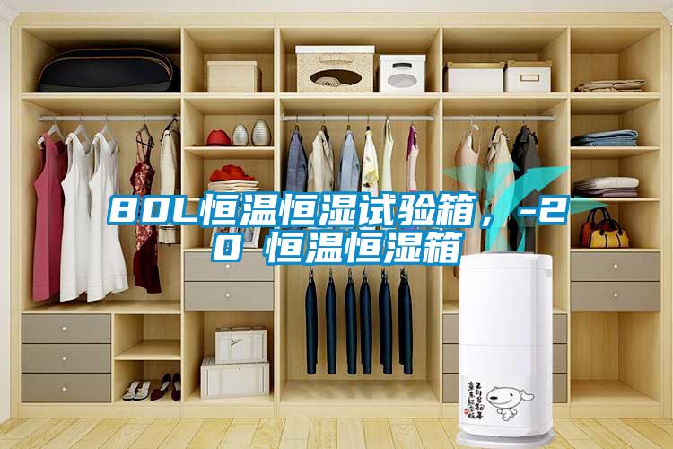 80L恒溫恒濕試驗(yàn)箱，-20℃恒溫恒濕箱