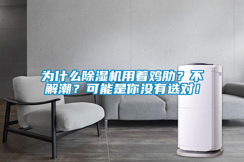 為什么除濕機用著雞肋？不解潮？可能是你沒有選對！