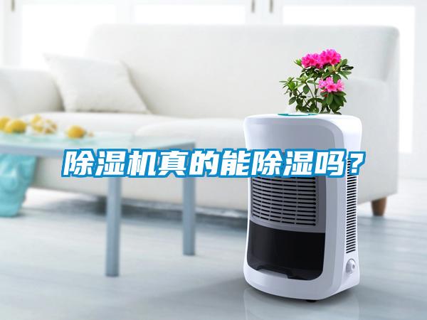 除濕機(jī)真的能除濕嗎？