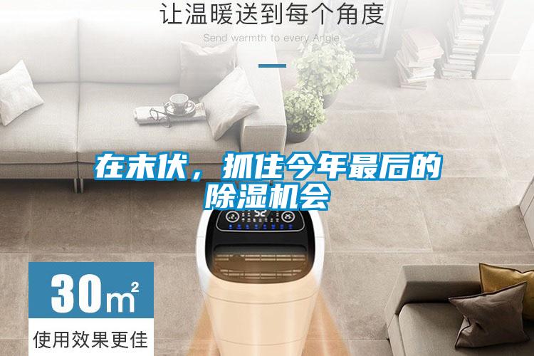 在末伏，抓住今年最后的除濕機(jī)會(huì)