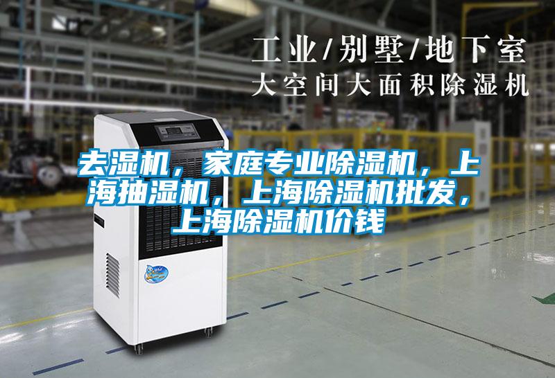 去濕機(jī)，家庭專業(yè)除濕機(jī)，上海抽濕機(jī)，上海除濕機(jī)批發(fā)，上海除濕機(jī)價(jià)錢