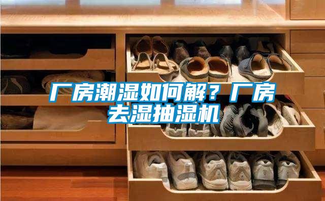 廠房潮濕如何解？廠房去濕抽濕機