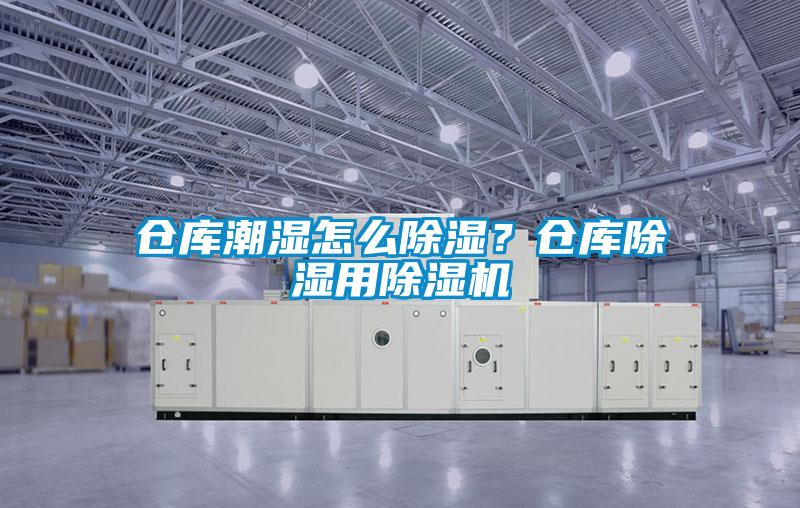倉庫潮濕怎么除濕？倉庫除濕用除濕機(jī)
