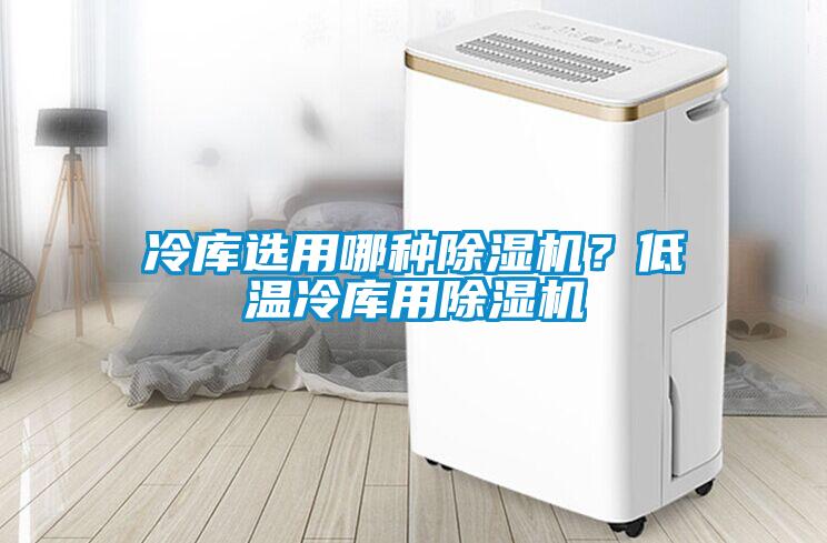 冷庫(kù)選用哪種除濕機(jī)？低溫冷庫(kù)用除濕機(jī)