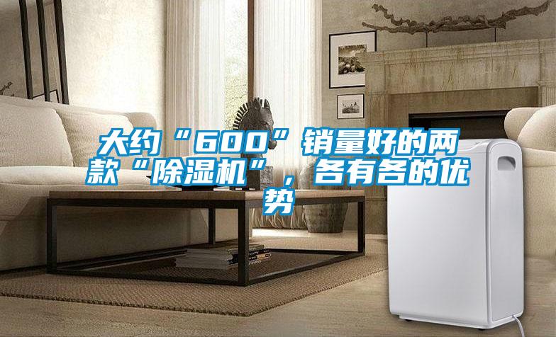 大約“600”銷量好的兩款“除濕機(jī)”，各有各的優(yōu)勢(shì)