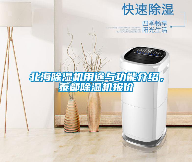 北海除濕機(jī)用途與功能介紹，泰都除濕機(jī)報(bào)價(jià)
