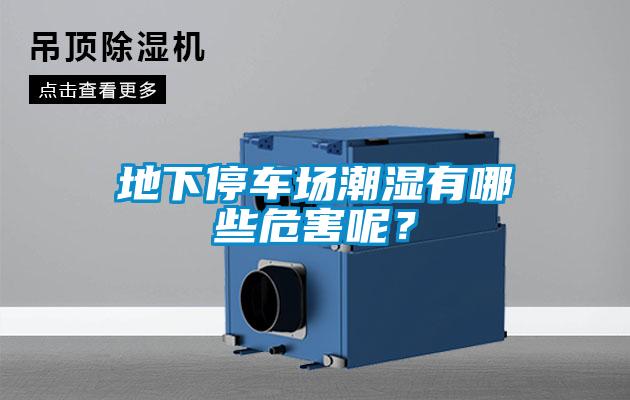 地下停車場(chǎng)潮濕有哪些危害呢？