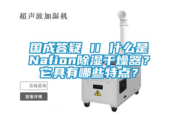 國成答疑 II 什么是Nafion除濕干燥器？它具有哪些特點？