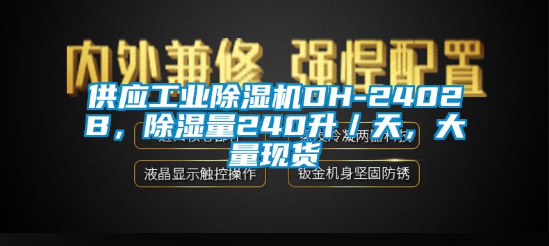 供應(yīng)工業(yè)除濕機(jī)DH-2402B，除濕量240升／天，大量現(xiàn)貨