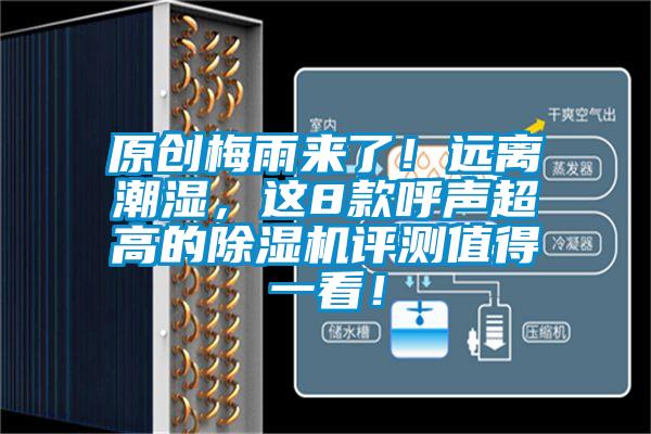 原創(chuàng)梅雨來(lái)了！遠(yuǎn)離潮濕，這8款呼聲超高的除濕機(jī)評(píng)測(cè)值得一看！
