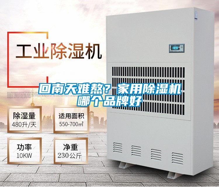 回南天難熬？家用除濕機(jī)哪個(gè)品牌好
