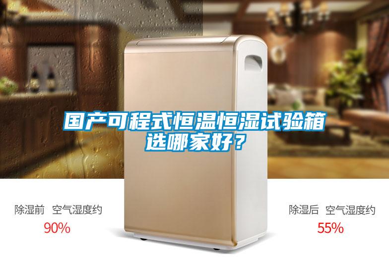 國產(chǎn)可程式恒溫恒濕試驗箱選哪家好？