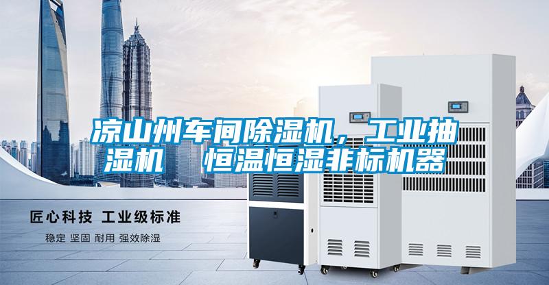 涼山州車間除濕機(jī)，工業(yè)抽濕機(jī)  恒溫恒濕非標(biāo)機(jī)器