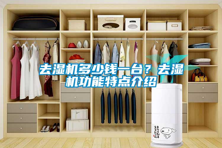 去濕機(jī)多少錢一臺(tái)？去濕機(jī)功能特點(diǎn)介紹