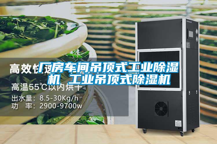 廠房車(chē)間吊頂式工業(yè)除濕機(jī) 工業(yè)吊頂式除濕機(jī)