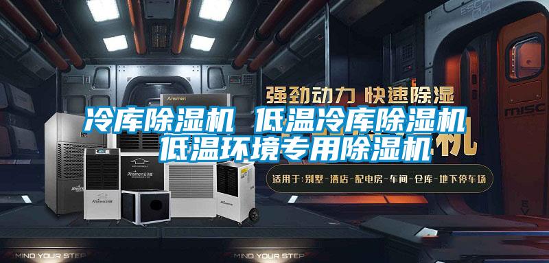 冷庫(kù)除濕機(jī) 低溫冷庫(kù)除濕機(jī)  低溫環(huán)境專用除濕機(jī)