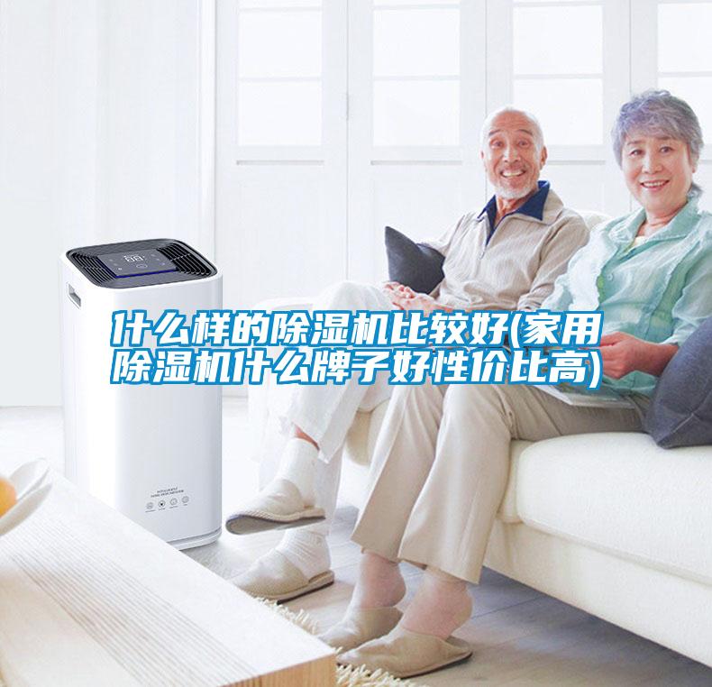 什么樣的除濕機(jī)比較好(家用除濕機(jī)什么牌子好性?xún)r(jià)比高)