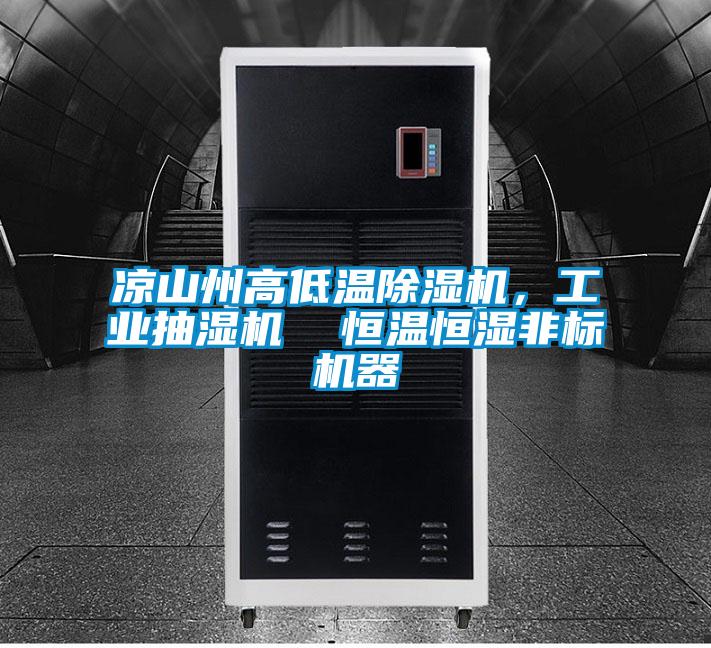 涼山州高低溫除濕機，工業(yè)抽濕機  恒溫恒濕非標機器