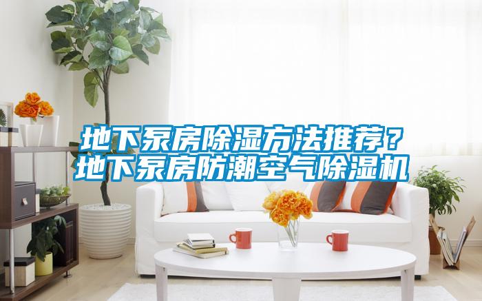地下泵房除濕方法推薦？地下泵房防潮空氣除濕機(jī)