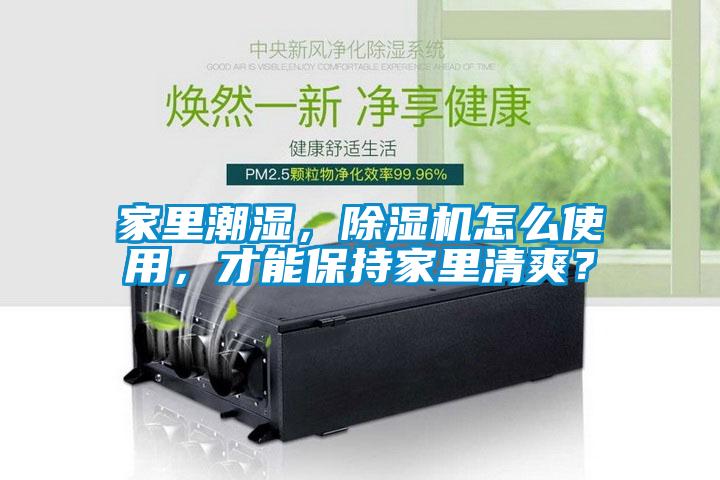 家里潮濕，除濕機(jī)怎么使用，才能保持家里清爽？