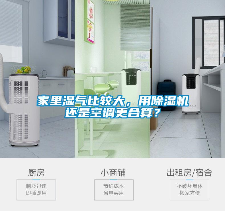 家里濕氣比較大，用除濕機還是空調更合算？