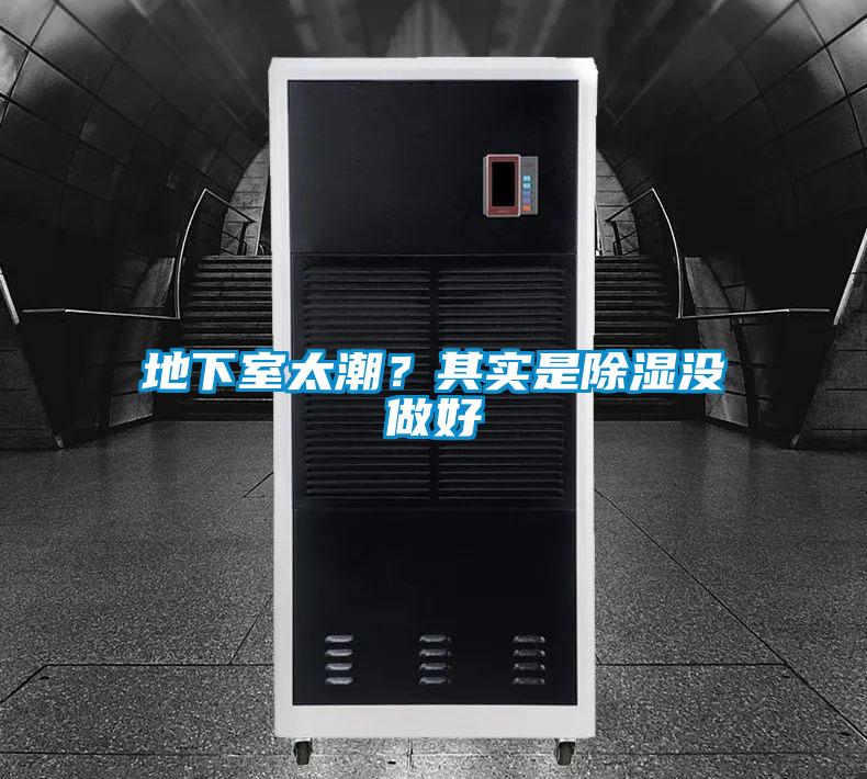 地下室太潮？其實是除濕沒做好