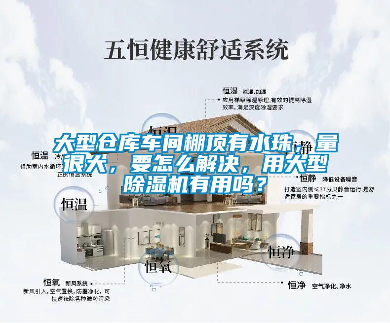 大型倉庫車間棚頂有水珠，量很大，要怎么解決，用大型除濕機(jī)有用嗎？