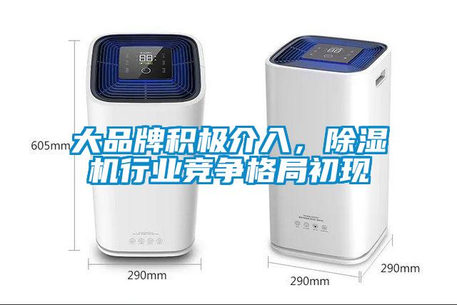 大品牌積極介入，除濕機行業(yè)競爭格局初現(xiàn)