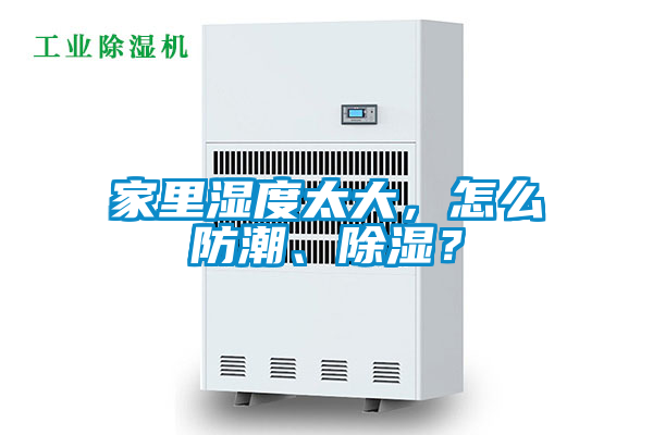 家里濕度太大，怎么防潮、除濕？