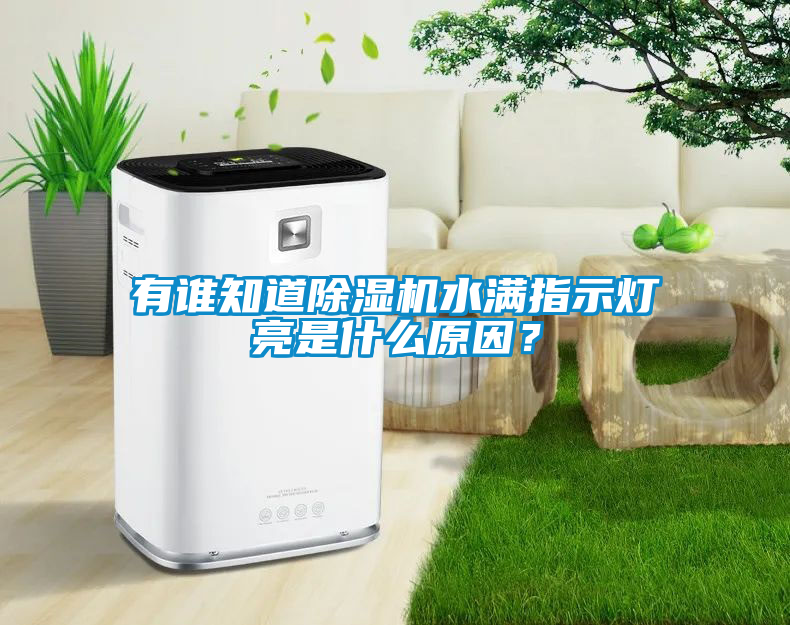 有誰知道除濕機(jī)水滿指示燈亮是什么原因？