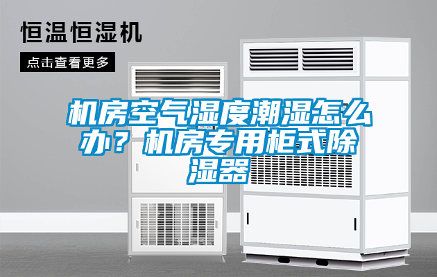 機房空氣濕度潮濕怎么辦？機房專用柜式除濕器