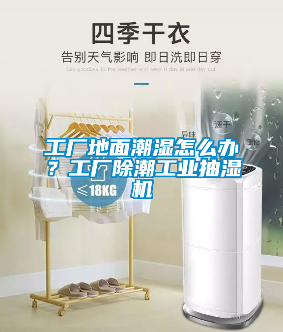 工廠地面潮濕怎么辦？工廠除潮工業(yè)抽濕機(jī)