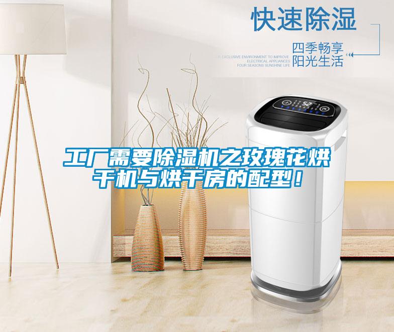 工廠需要除濕機(jī)之玫瑰花烘干機(jī)與烘干房的配型！