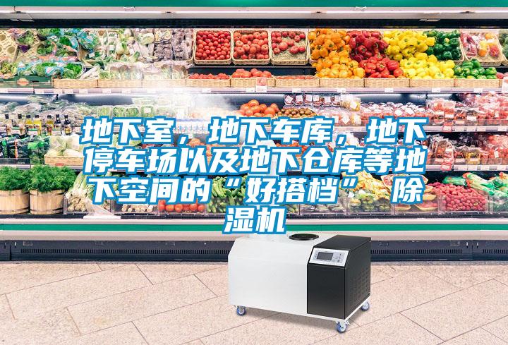 地下室，地下車庫(kù)，地下停車場(chǎng)以及地下倉(cāng)庫(kù)等地下空間的“好搭檔” 除濕機(jī)