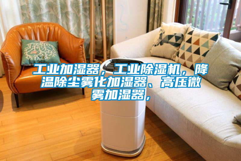 工業(yè)加濕器，工業(yè)除濕機，降溫除塵霧化加濕器、高壓微霧加濕器，