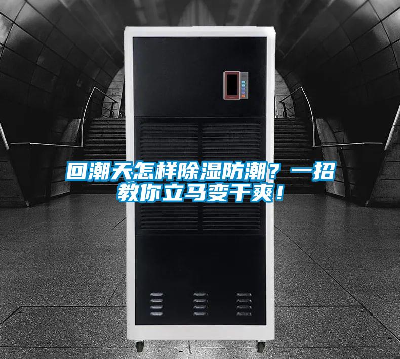 回潮天怎樣除濕防潮？一招教你立馬變干爽！
