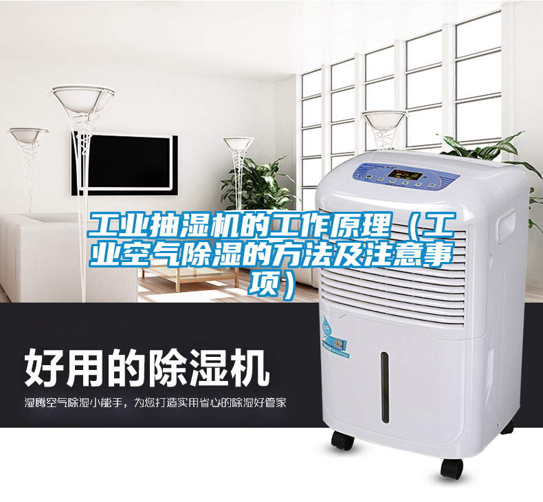 工業(yè)抽濕機(jī)的工作原理（工業(yè)空氣除濕的方法及注意事項）