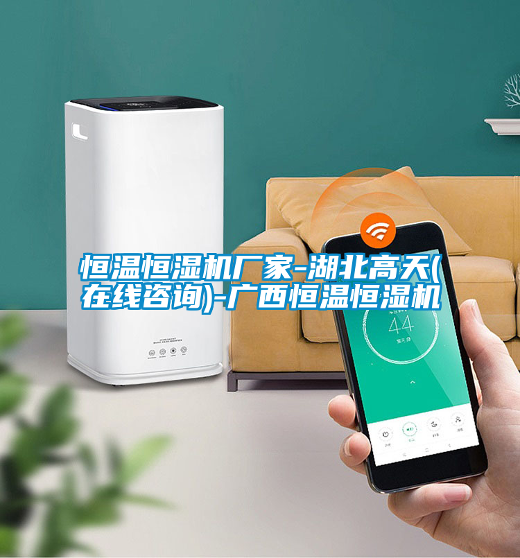 恒溫恒濕機(jī)廠家-湖北高天(在線咨詢)-廣西恒溫恒濕機(jī)