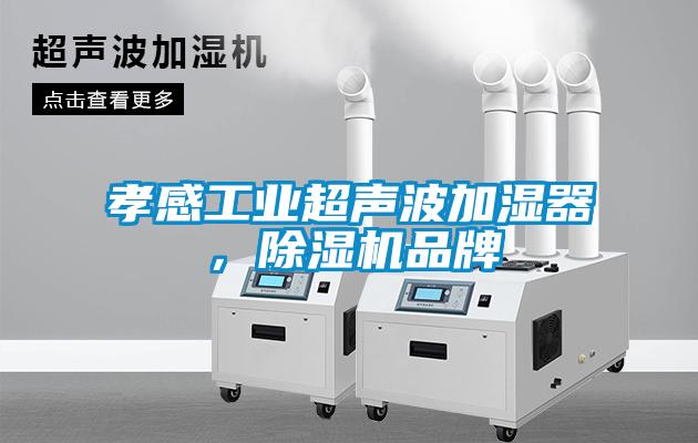 孝感工業(yè)超聲波加濕器，除濕機品牌
