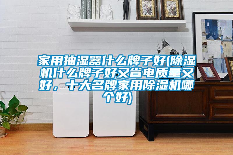 家用抽濕器什么牌子好(除濕機什么牌子好又省電質(zhì)量又好，十大名牌家用除濕機哪個好)
